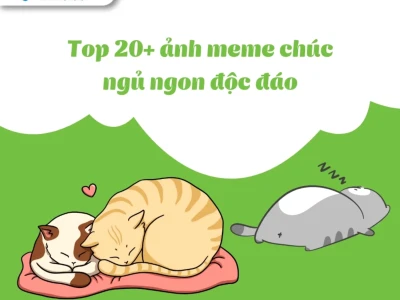 Meme mới ngủ dậy: Tổng hợp khoảnh khắc hài hước và đáng yêu