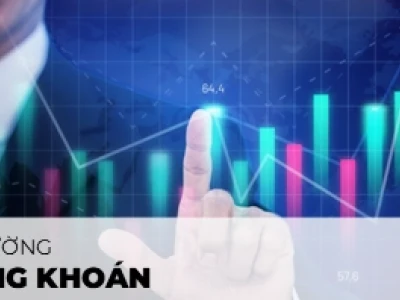 Thị trường chứng khoán là gì? Cẩm nang toàn diện 2026