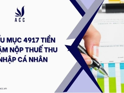 Tiểu mục 4917: Hướng dẫn chi tiết về quy định và cách hạch toán