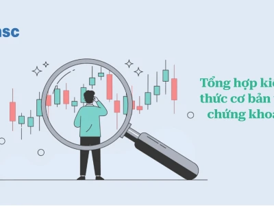 Tìm hiểu chứng khoán cơ bản: Hướng dẫn toàn diện cho nhà đầu tư mới