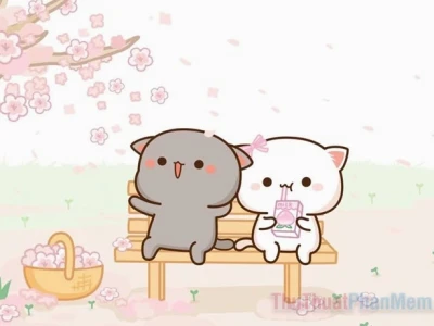 Tổng hợp 80+ Avatar Đôi Mèo Cute Cho Cặp Đôi Yêu Nhau 2026