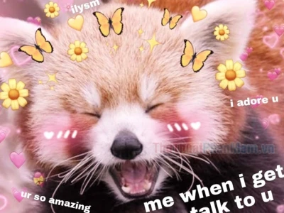 Tổng hợp 999+ Meme Tình Yêu Dễ Thương Nhất 2026
