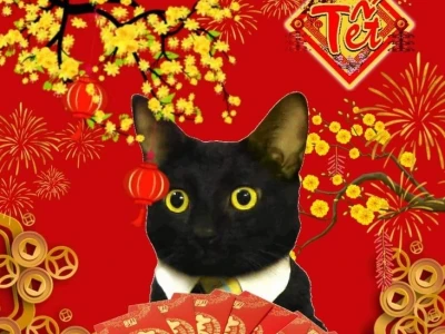 Tổng hợp ảnh Avatar Mèo Tết 2026: Hài hước, dễ thương và "vô tri"