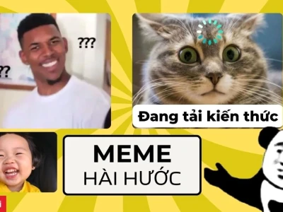 Top 841+ Hình nền vô tri cute độc lạ cho năm 2026