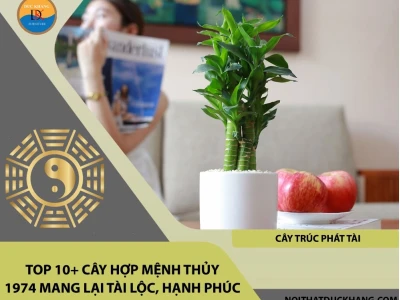 Tuổi Giáp Dần 1974 Trồng Cây Gì Hợp Phong Thủy Năm 2026?