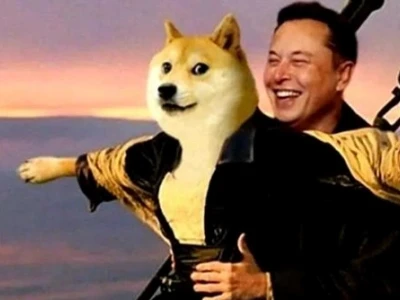 Tuyển Tập Hình Nền Máy Tính Meme: Giải Pháp Cười Cho Dân Văn Phòng