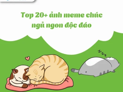 Tuyển Tập Meme Chúc Ngủ Ngon Hài Hước và Dễ Thương Nhất 2026