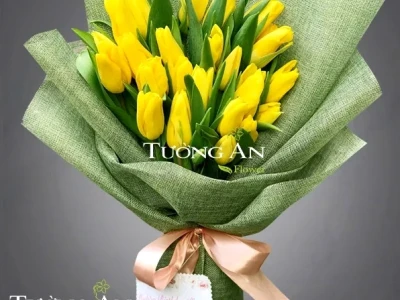 Ý Nghĩa Hoa Tulip Đỏ: Biểu Tượng Vĩnh Cửu Của Tình Yêu Nồng Cháy