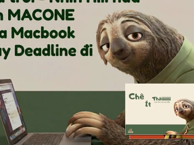 Top 99 hình nền meme chủ đề công việc siêu lầy lội cho dân văn phòng 2026