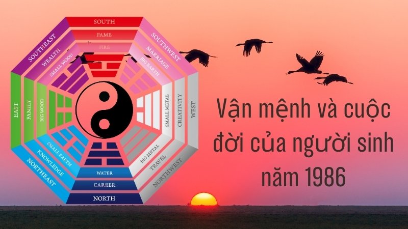 Vận mệnh và cuộc đời của người sinh năm 1986