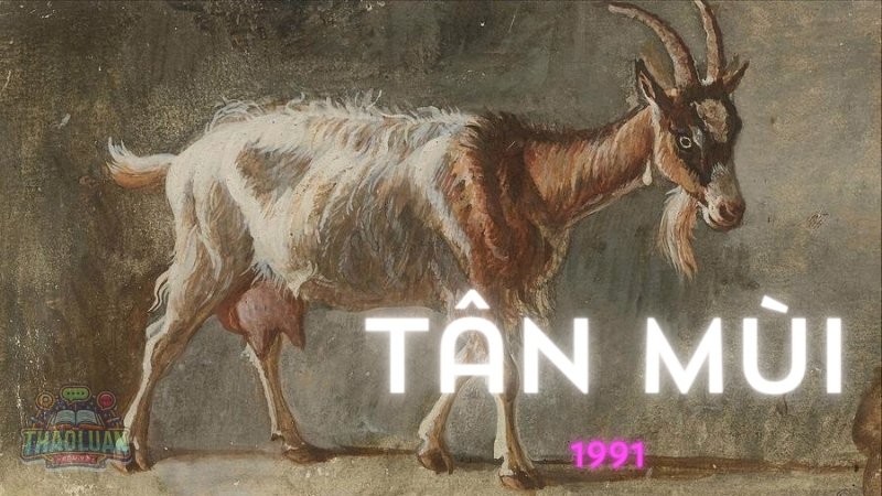 Sinh năm 1991 mang mệnh gì? Hướng dẫn xem tuổi trọn đời cho tuổi Mùi 