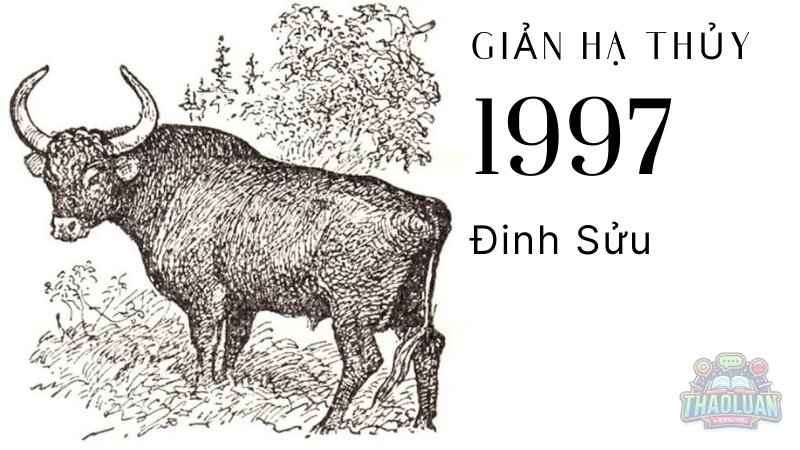 Người sinh năm 1997 thuộc mệnh gì?