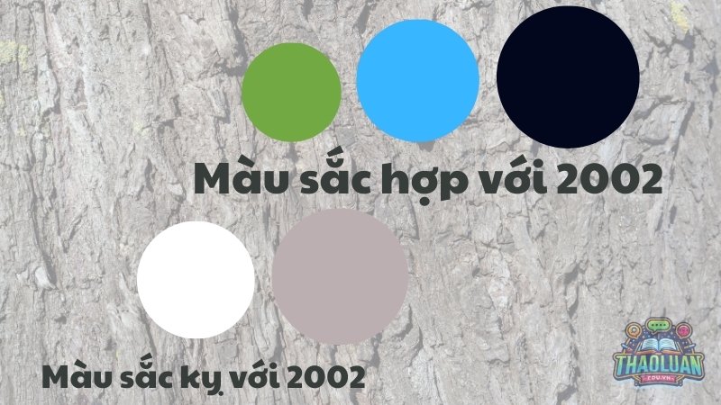 Màu sắc hợp với người sinh năm 2002