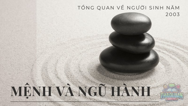 Tổng quan về người sinh năm 2003