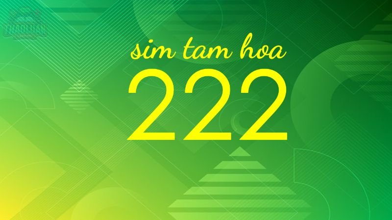 Ý nghĩa số 222 trong sim Tam Hoa 7