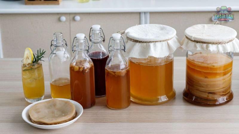 Lưu ý khi uống Kombucha giảm cân 6