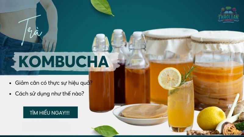 Cách chọn Kombucha tốt cho giảm cân 2