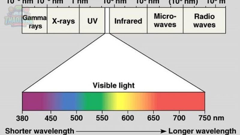 Phân loại bước sóng 5