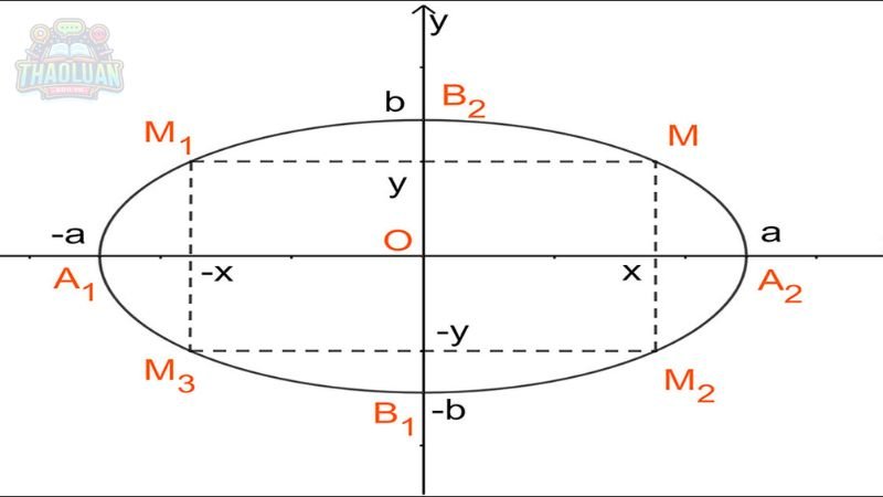 Phân tích các yếu tố cấu thành Elip 2