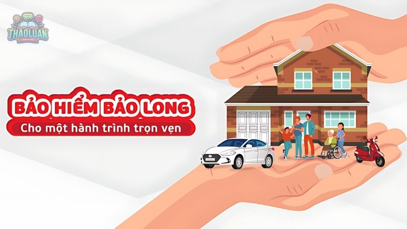 Giới thiệu về bảo hiểm Bảo Long