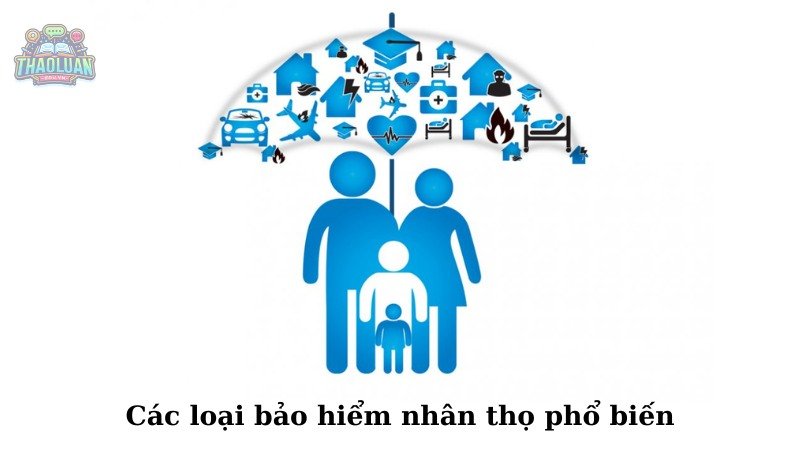 Các loại hình bảo hiểm nhân thọ phổ biến