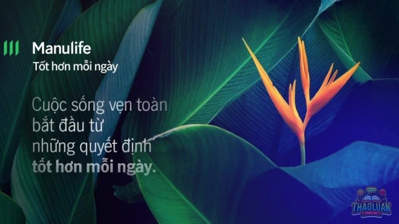 Quy trình tham gia bảo hiểm nhân thọ Manulife