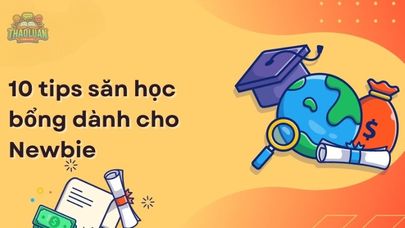 Các lưu ý và chiến lược để tăng cơ hội nhận học bổng 2