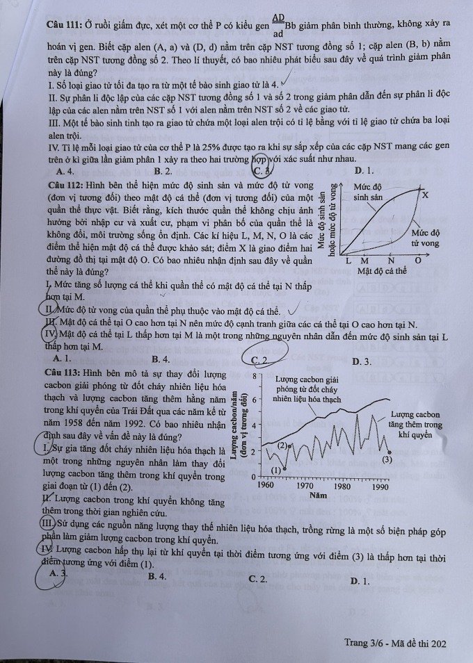 Đề thi THPT Quốc gia môn Sinh học năm 2024 mã đề 202 3