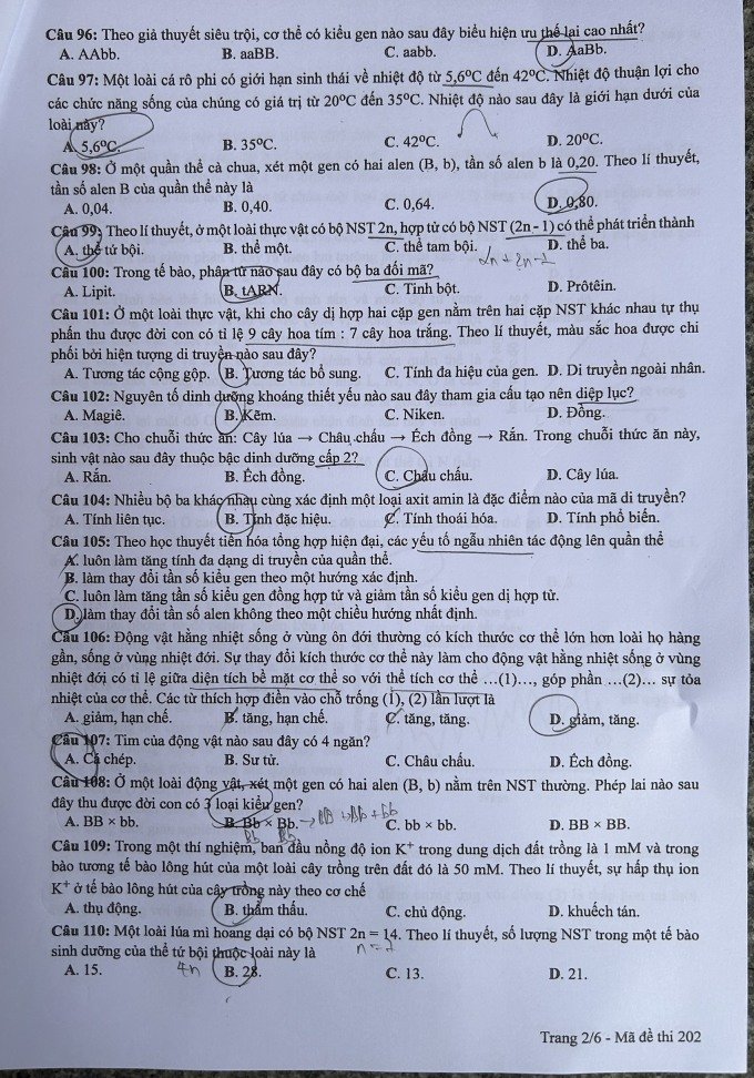 Đề thi THPT Quốc gia môn Sinh học năm 2024 mã đề 202 2