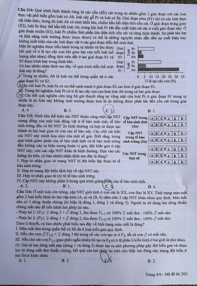 Đề thi THPT Quốc gia môn Sinh học năm 2024 mã đề 202 4