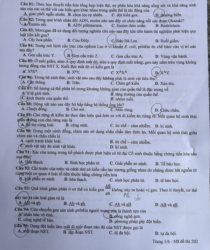 Đề thi THPT Quốc gia môn Sinh học năm 2024 mã đề 202 1