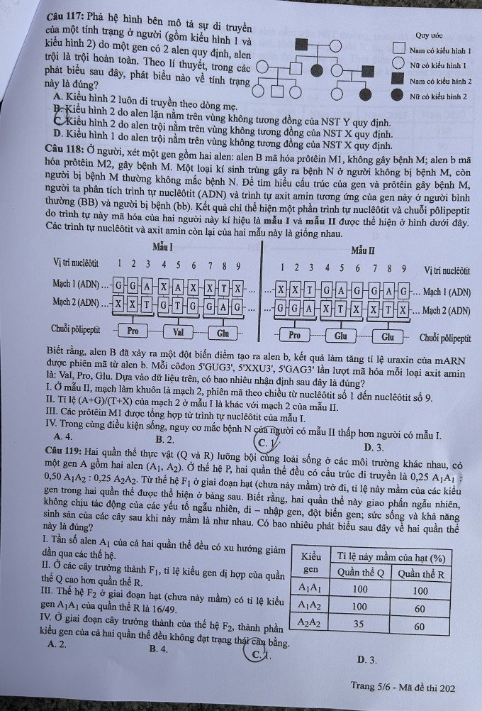 Đề thi THPT Quốc gia môn Sinh học năm 2024 mã đề 202 5