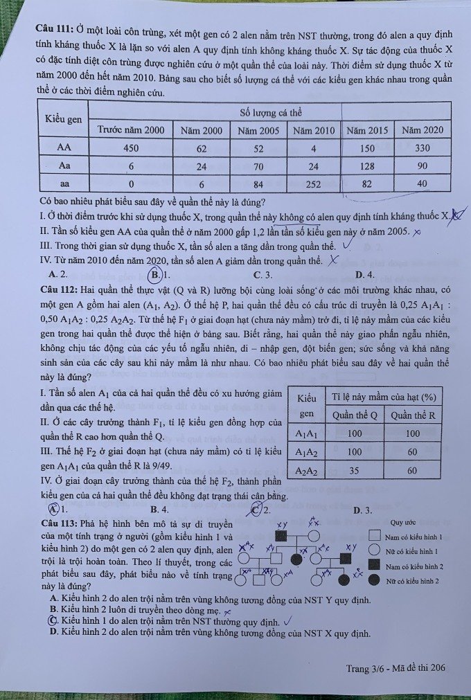 Đề thi THPT Quốc gia môn Sinh học năm 2024 mã đề 206 3