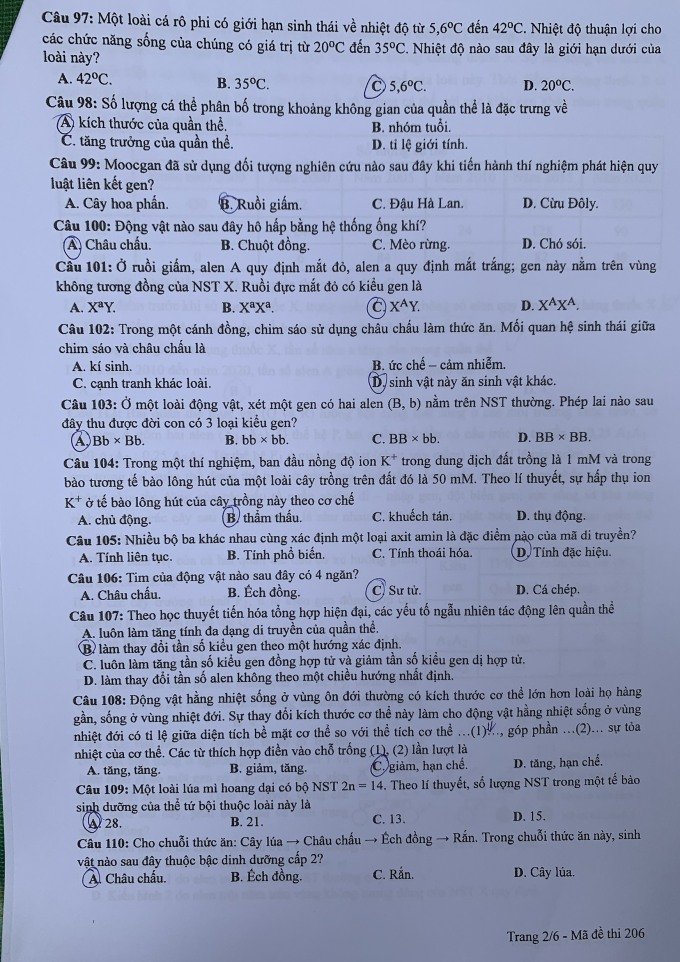 Đề thi THPT Quốc gia môn Sinh học năm 2024 mã đề 206 2
