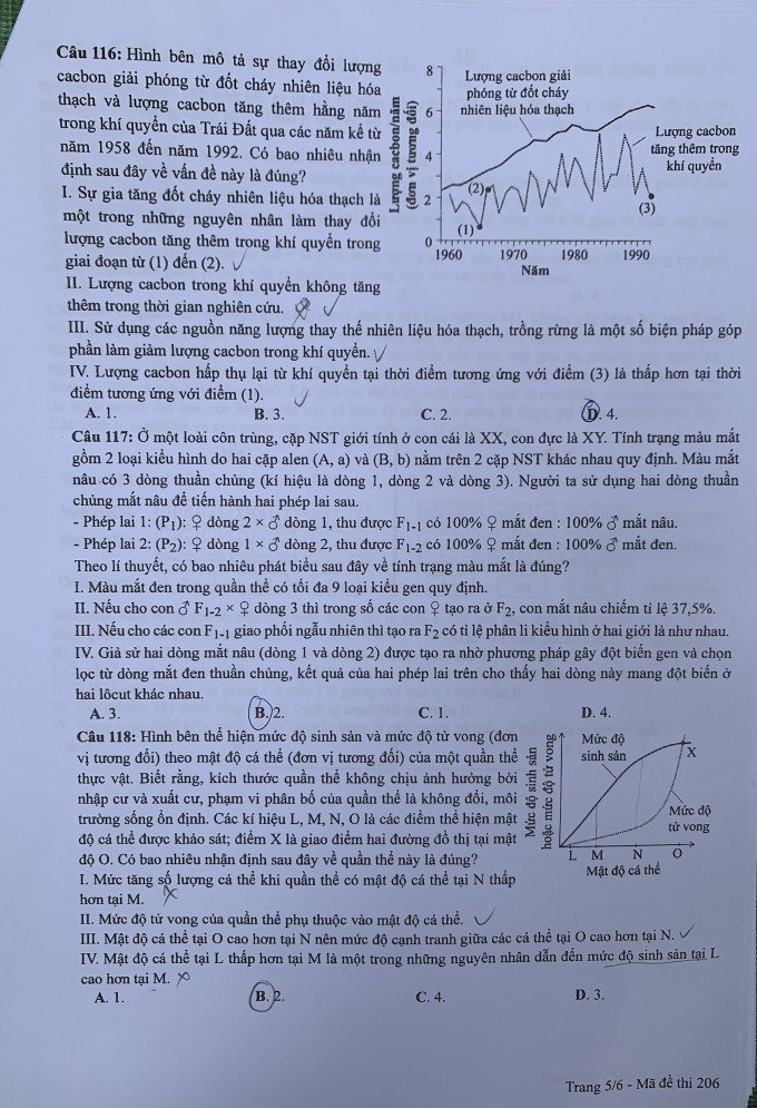 Đề thi THPT Quốc gia môn Sinh học năm 2024 mã đề 206 5