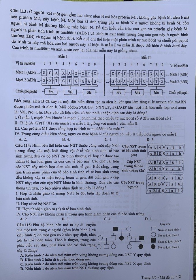 Đề thi THPT Quốc gia môn Sinh học năm 2024 mã đề 212 4