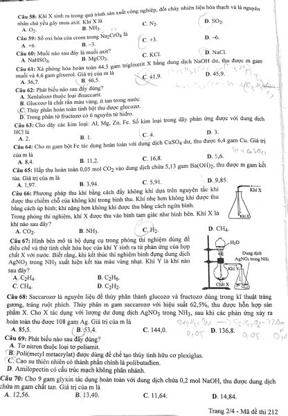 Đề thi THPT Quốc gia môn Hóa học năm 2024 mã đề 212 2