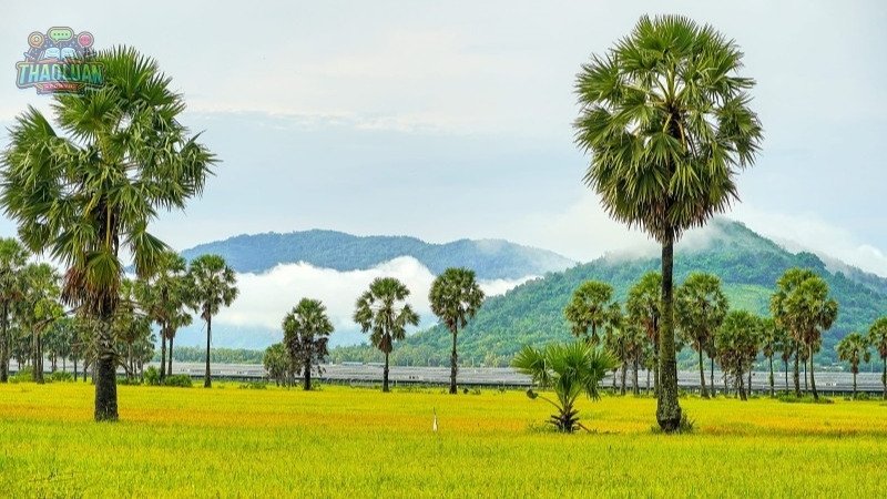 Kinh nghiệm du lịch An Giang 2