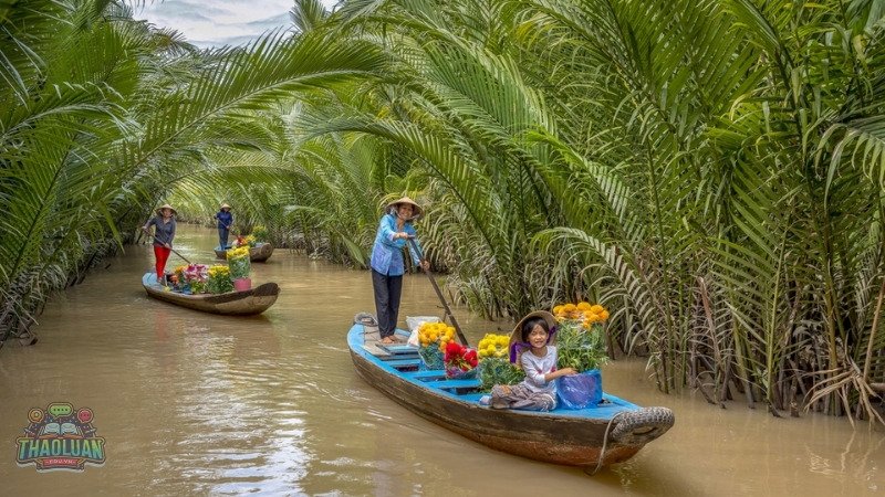 Một số tour du lịch Cần Thơ và giá cả cụ thể