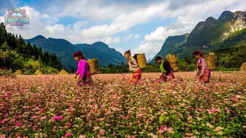 Chi phí cho một chuyến du lịch Hà Giang 2