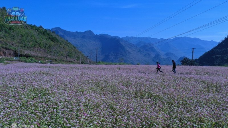 Các điểm tham quan nổi tiếng tại Hà Giang 3