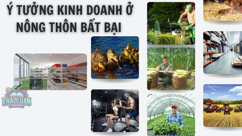 Top những ý tưởng kinh doanh ở nông thôn bất bại