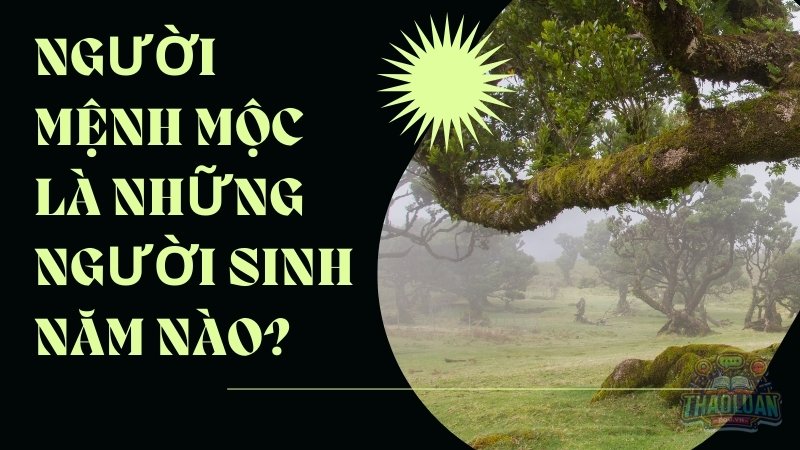 Người mệnh Mộc là những người sinh năm nào?