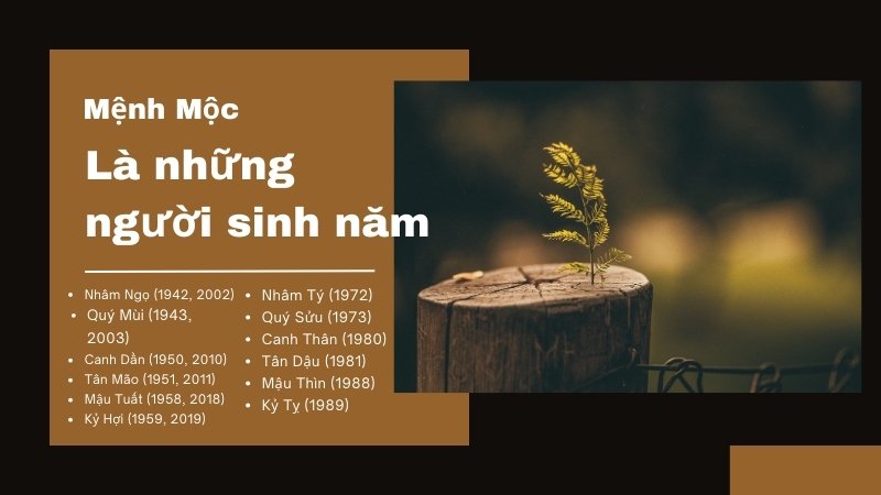 Mệnh Mộc là những người sinh năm nào?