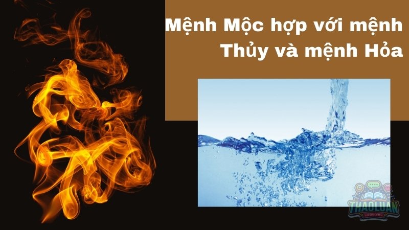 Mệnh Mộc hợp với mệnh Thủy và mệnh Hỏa