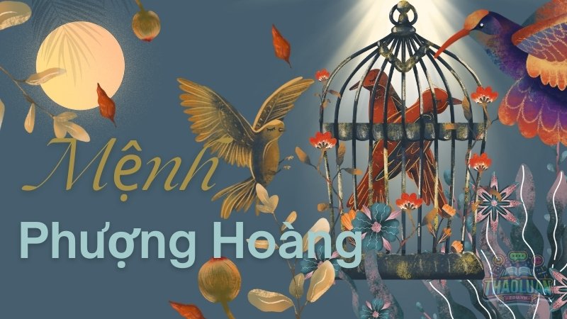 Mẹo xem tướng và phong thủy cho người mang mệnh phượng hoàng
