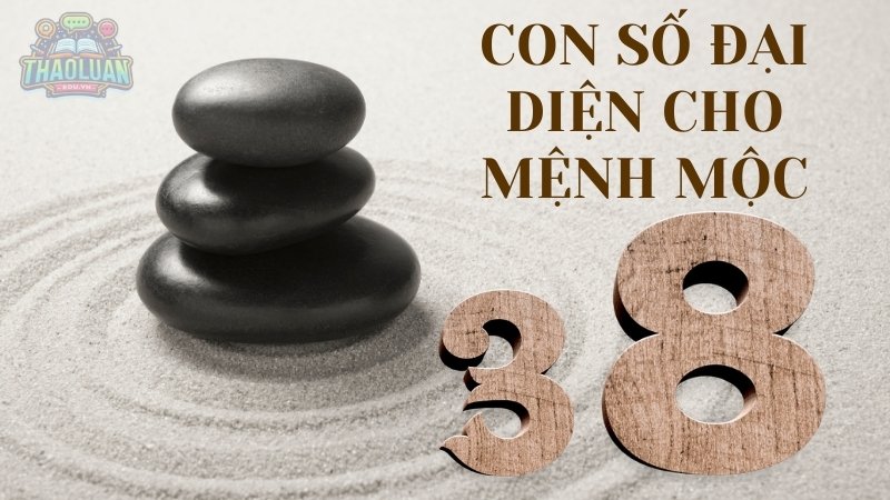 Con số đại diện cho Mộc: 3, 8