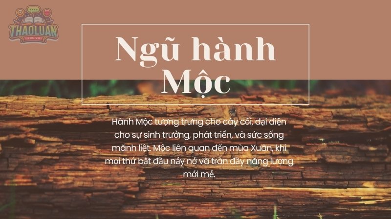 Ngũ hành Mộc