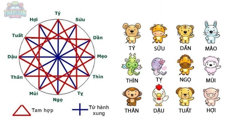 Tứ hành xung là gì?