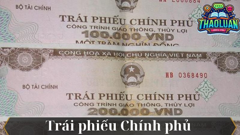 trai phieu-chinh-phu-1